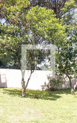 Studio para alugar com 24m², 1 quarto e sem vagaQuintal