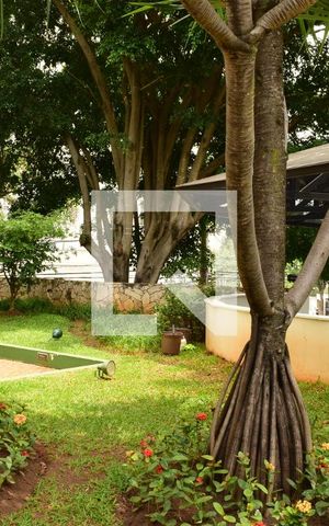 Apartamento para alugar com 30m², 1 quarto e 1 vagaJardim