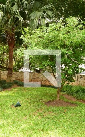 Apartamento para alugar com 30m², 1 quarto e 1 vagaJardim