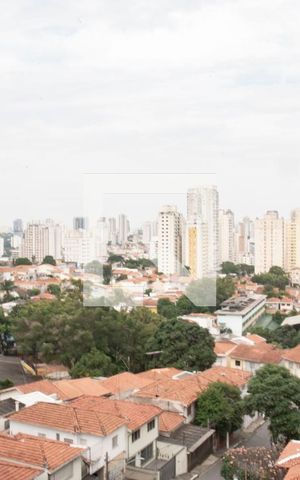 Apartamento à venda com 136m², 3 quartos e 2 vagasVista do Quarto 2