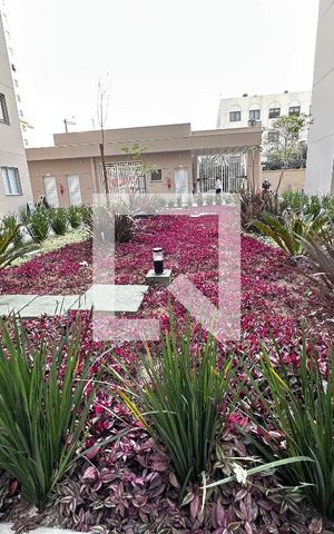 Apartamento à venda com 32m², 2 quartos e sem vaga Apartamento à venda com 32m², 2 quartos e sem vagaÁrea Comum - Jardim