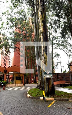 Apartamento para alugar com 64m², 3 quartos e 1 vagaFachada e portaria