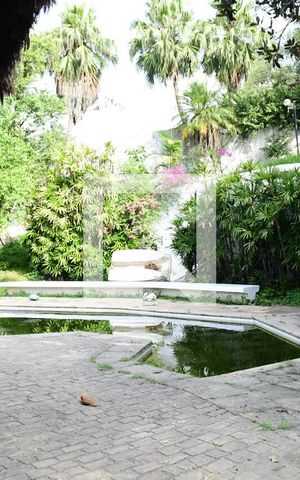 Casa de condomínio para alugar com 900m², 7 quartos e 6 vagasQuintal