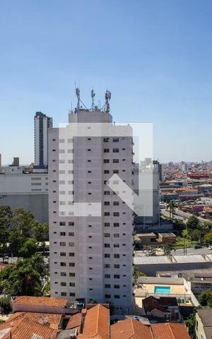 Apartamento para alugar com 144m², 3 quartos e 2 vagasVista