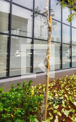 Studio à venda com 25m², 1 quarto e sem vaga Studio à venda com 25m², 1 quarto e sem vagaÁrea comum - paisagismo