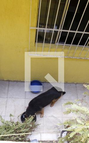 Casa à venda com 120m², 4 quartos e 3 vagasÁrea Pet
