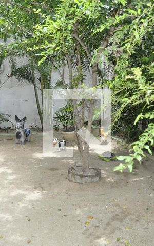 Apartamento à venda com 110m², 3 quartos e 1 vagaÁrea comum