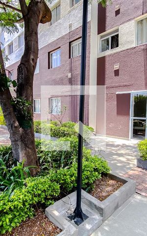 Apartamento para alugar com 30m², 1 quarto e sem vagaÁrea comum