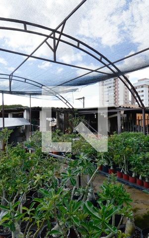 Casa à venda com 320m², 4 quartos e 3 vagas Casa à venda com 320m², 4 quartos e 3 vagasTerraço