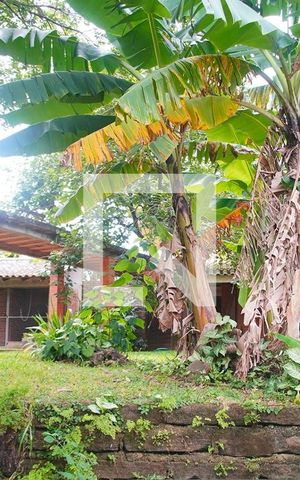 Casa à venda com 375m², 4 quartos e 2 vagasVista do Quarto 1