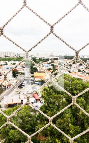 Apartamento para alugar com 65m², 3 quartos e 2 vagasQuarto 2