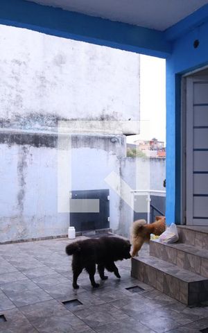 Casa para alugar com 213m², 3 quartos e 2 vagasGaragem