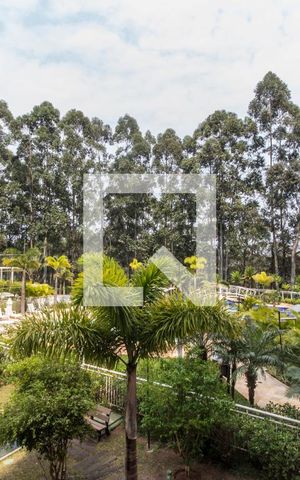 Apartamento à venda com 175m², 3 quartos e 3 vagasVista