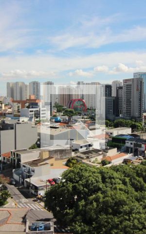 Apartamento para alugar com 132m², 3 quartos e 2 vagasSuíte 2 Vista 