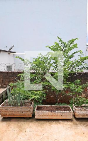 Casa para alugar com 180m², 3 quartos e 2 vagasQuintal