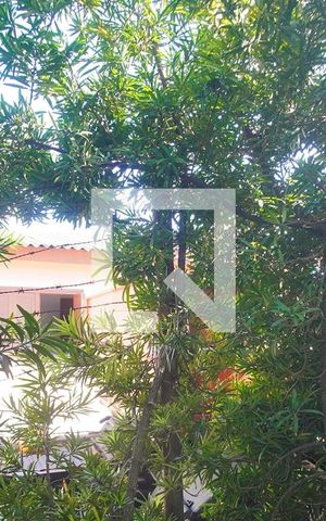 Casa para alugar com 240m², 3 quartos e 4 vagas Casa para alugar com 240m², 3 quartos e 4 vagasVista do Quarto 1