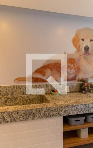 Apartamento para alugar com 32m², 2 quartos e sem vaga Apartamento para alugar com 32m², 2 quartos e sem vagaÁrea comum - Pet Care