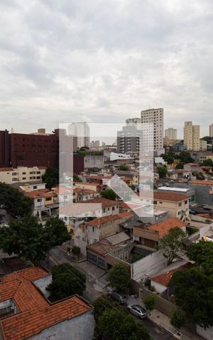Apartamento para alugar com 45m², 1 quarto e sem vaga Apartamento para alugar com 45m², 1 quarto e sem vagaSala - Vista