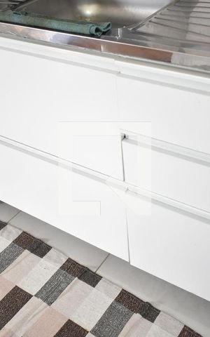 Apartamento para alugar com 43m², 2 quartos e 1 vagaCozinha - Armários