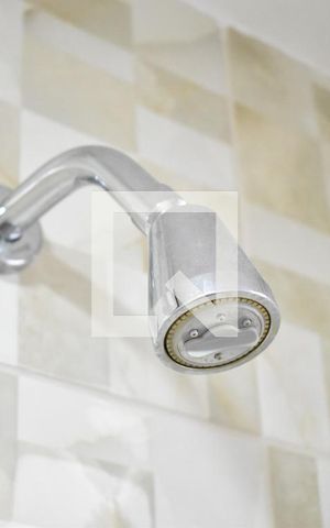 Apartamento para alugar com 60m², 2 quartos e sem vagaChuveiro