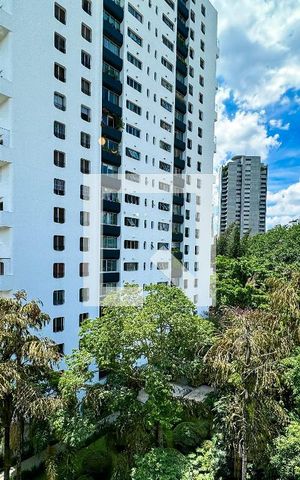 Apartamento para alugar com 100m², 1 quarto e sem vaga Apartamento para alugar com 100m², 1 quarto e sem vagaVista