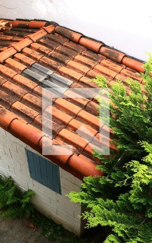 Casa à venda com 740m², 4 quartos e 2 vagasVista quarto 1