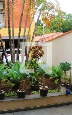 Apartamento para alugar com 75m², 2 quartos e 2 vagasÁrea comum - Churrasqueira