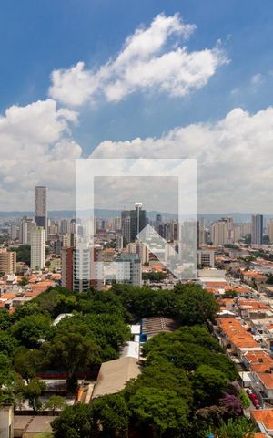 Apartamento à venda com 340m², 5 quartos e 4 vagas Apartamento à venda com 340m², 5 quartos e 4 vagasVista - Suíte 3