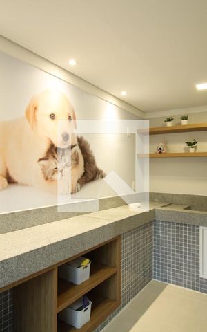Apartamento para alugar com 29m², 1 quarto e sem vagaEspaço Pet