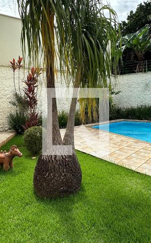 Casa para alugar com 370m², 5 quartos e 4 vagas Casa para alugar com 370m², 5 quartos e 4 vagasPiscina