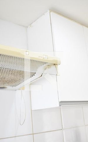 Apartamento para alugar com 56m², 3 quartos e 1 vagaCozinha - Armários