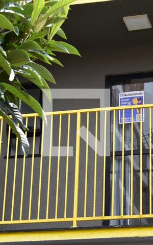 Studio para alugar com 35m², 1 quarto e sem vagaPlaquinha