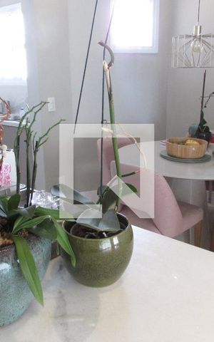 Apartamento à venda com 210m², 3 quartos e 2 vagasCopa