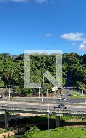 Apartamento para alugar com 50m², 1 quarto e 1 vaga Apartamento para alugar com 50m², 1 quarto e 1 vagaVista do Quarto