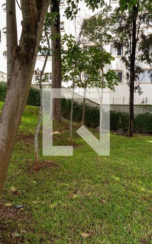 Apartamento à venda com 263m², 4 quartos e 6 vagasPet Place