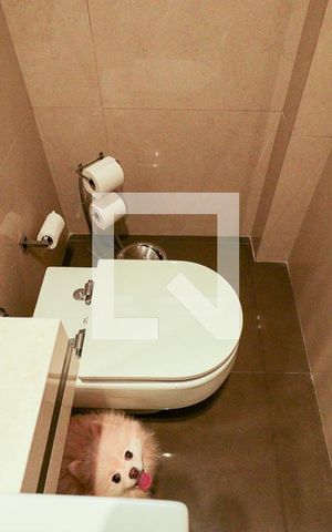 Casa à venda com 203m², 3 quartos e 4 vagasLavabo