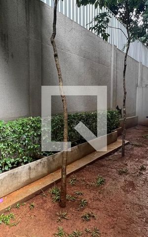 Studio para alugar com 24m², 1 quarto e sem vaga Studio para alugar com 24m², 1 quarto e sem vagaPet space