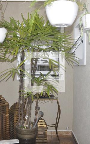 Casa para alugar com 250m², 3 quartos e 5 vagasJardim de inverno