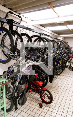 Apartamento para alugar com 61m², 3 quartos e 1 vagaÁrea comum - Bicicletário