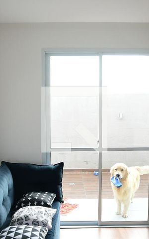 Apartamento para alugar com 72m², 2 quartos e 1 vagaSala