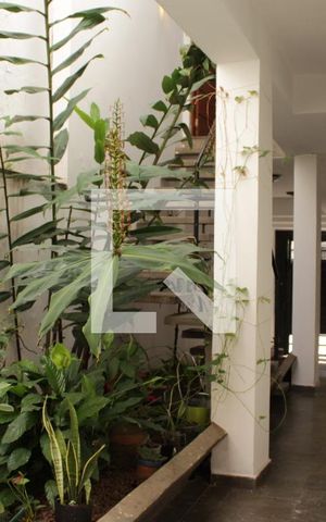 Casa para alugar com 342m², 7 quartos e 2 vagasÁrea externa