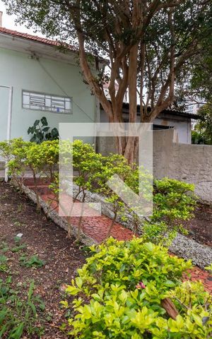 Casa para alugar com 153m², 3 quartos e 1 vagaQuintal
