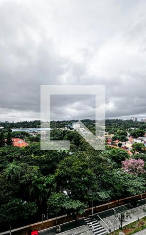 Apartamento para alugar com 30m², 1 quarto e sem vagaVista