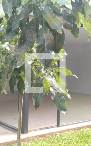 Casa de condomínio à venda com 523m², 4 quartos e 4 vagas Casa de condomínio à venda com 523m², 4 quartos e 4 vagasQuintal