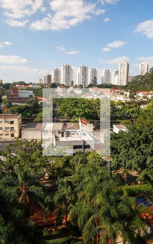 Apartamento para alugar com 75m², 3 quartos e 2 vagasVista da Sala