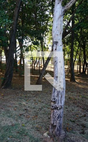 Apartamento para alugar com 47m², 2 quartos e 1 vagaÁrea comum