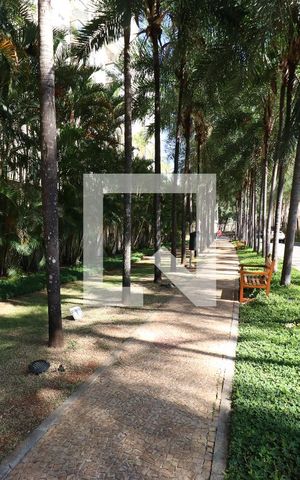 Apartamento para alugar com 42m², 1 quarto e 1 vagaÁrea comum
