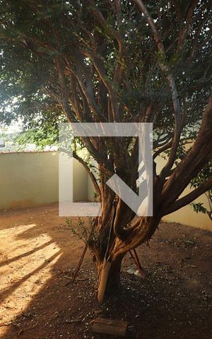 Casa à venda com 393m², 4 quartos e 2 vagasQuintal
