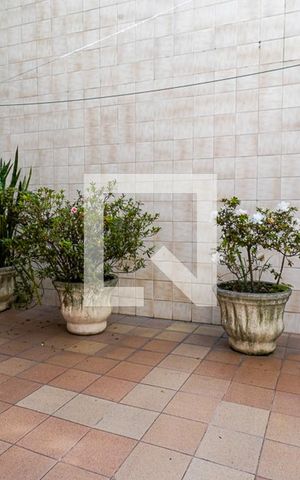 Casa à venda com 214m², 5 quartos e 2 vagas Casa à venda com 214m², 5 quartos e 2 vagasQuintal