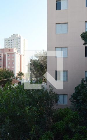 Apartamento para alugar com 60m², 2 quartos e 1 vagaVista do Quarto 1